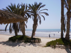 tunis_plaz